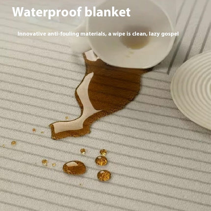 Area Rug Washable Carpet for Living Room Bedroom Light Luxury Indoor Large Area Rugs