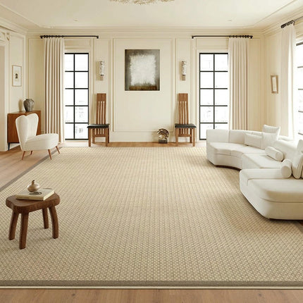 Light Luxury Soft Large Indoor Rug for Bedroom Living Room Large Area Rug Decor Carpet