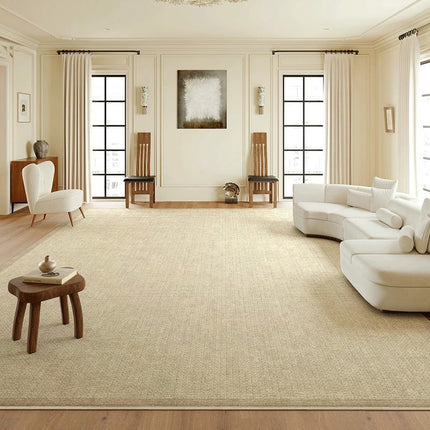 Light Luxury Soft Large Indoor Rug for Bedroom Living Room Large Area Rug Decor Carpet
