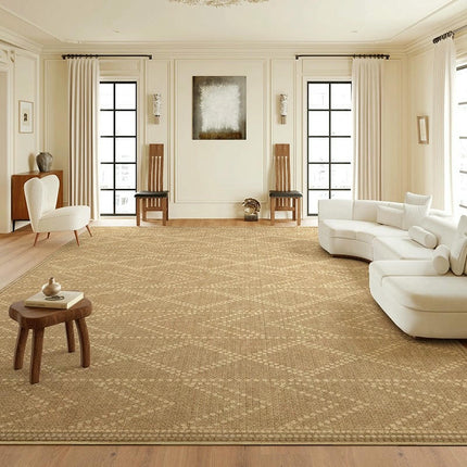 Light Luxury Soft Large Indoor Rug for Bedroom Living Room Large Area Rug Decor Carpet