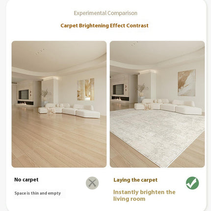 Light Luxury Abstract Indoor Floor Carpet Area Rugs for Living Room Washable, Soft Rugs