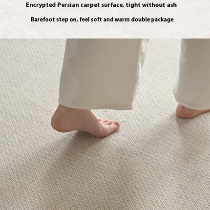 Modern Area Rug Minimalist Large Carpet for Bedroom, Living Room, Home Office, Indoor Décor