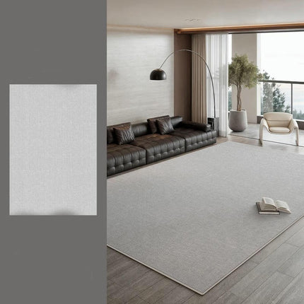Area Rugs for Bedroom Living Room, Grey Soft Indoor Carpets, Modern Minimalist Carpet