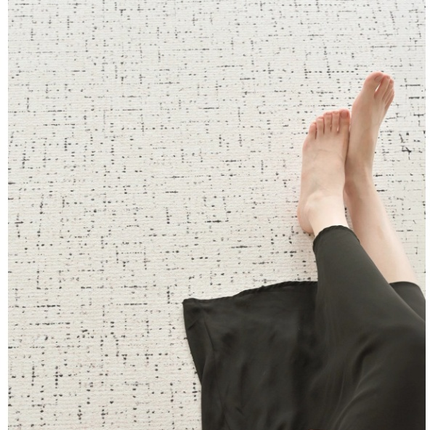 Soft Black and White Carpet for Living Room Bedroom Area Rug, Washable Rug