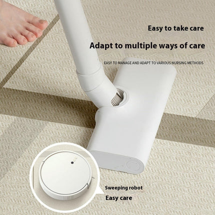 Simple And Light Luxury Area Rug for Living Room Indoor Carpets Large Floor Rugs