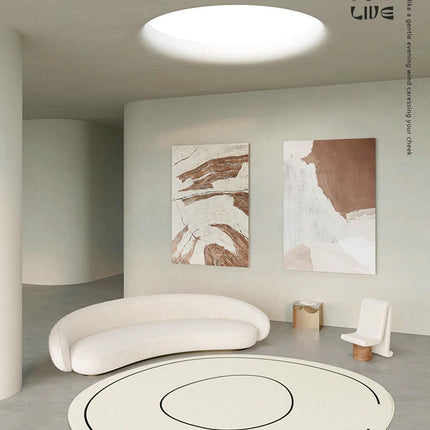 Irregular Abstract Area Rugs for Living Room Soft Non Slip Washable Rug Carpet Indoor Rugs