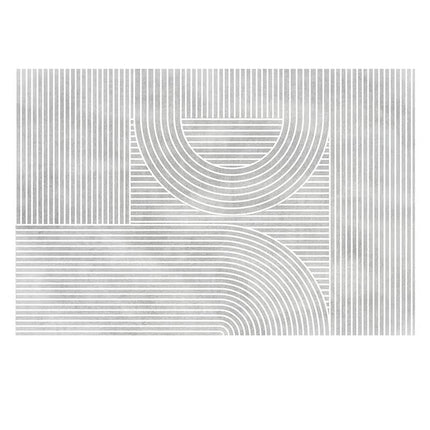 Area Rugs for Room Modern Large Floor Rugs Carpet for Indoor Abstract Art Carpets