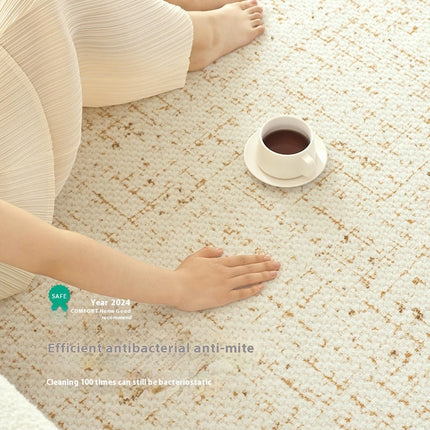 Area Rug Modern Rug Simple Carpets Abstract Rugs Carpet for Bathroom Living Room