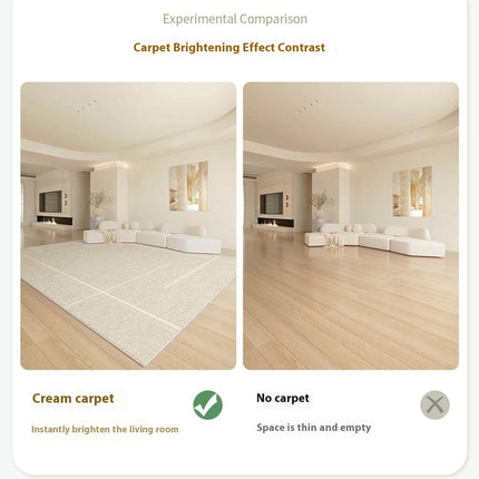 Washable Soft Indoor Floor Carpet,Beige Rug for Living Room Large Area Rugs