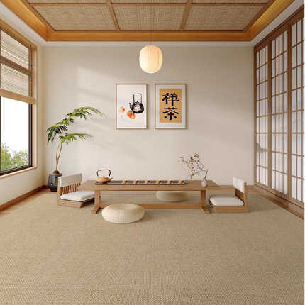 Simple Indoor Soft Rug And Carpet Modern Area Rugs Decor Rug for Living Room 1