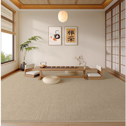 Simple Indoor Soft Rug And Carpet Modern Area Rugs Decor Rug for Living Room 1
