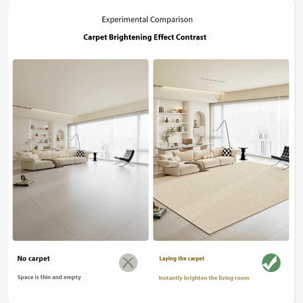 Low Pile Area Rug for Room Modern Simple Area Rug Rugs for Living Room Bedroom