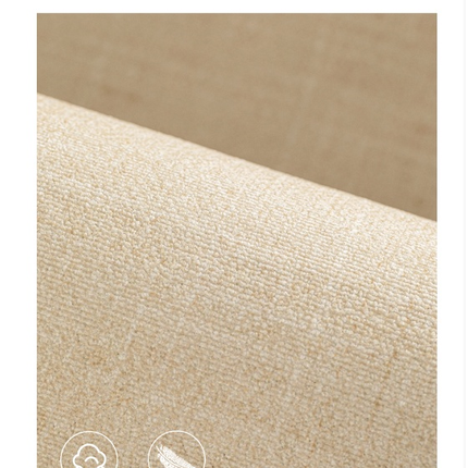 Area Rug Soft Modern Area Rugs Non-Slip Indoor Carpet for Living Room Desk Carpet 2