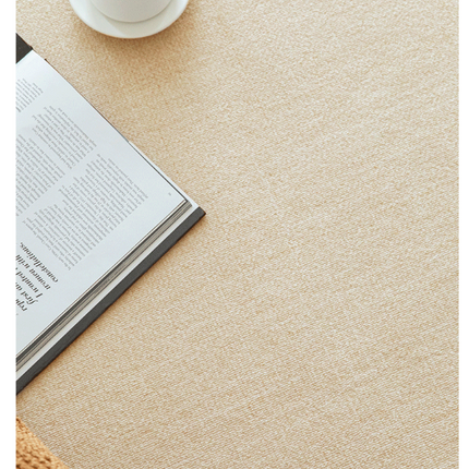 Area Rug Soft Modern Area Rugs Non-Slip Indoor Carpet for Living Room Desk Carpet