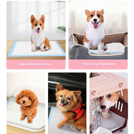 Large Pet Training and Puppy Pads Pee Pad for Dogs Super Absorbent & Leak-Proof