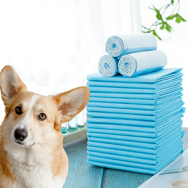 Dog Disposable Urine Pad Defecation Training Absorbent Diaper