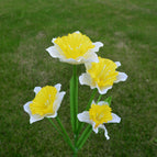 White yellow