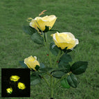yellow white light