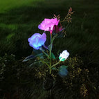white color light