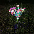 pink color light
