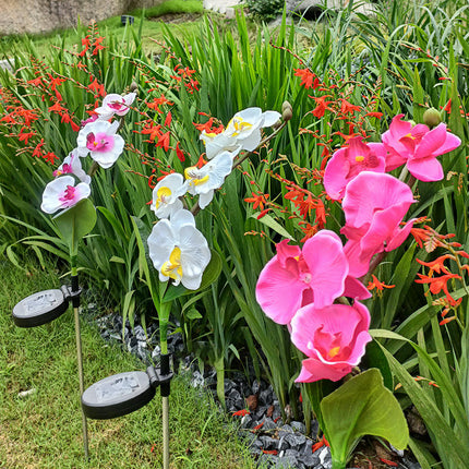 2 Pack Solar Garden Flowers Lights Waterproof Outdoor Lights for Garden Yard Patio Lawn Decor