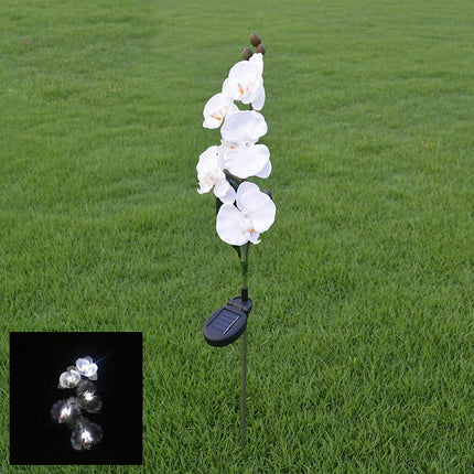 2 Pack Solar Garden Flowers Lights Waterproof Outdoor Lights for Garden Yard Patio Lawn Decor