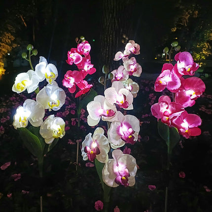 2 Pack Solar Garden Flowers Lights Waterproof Outdoor Lights for Garden Yard Patio Lawn Decor