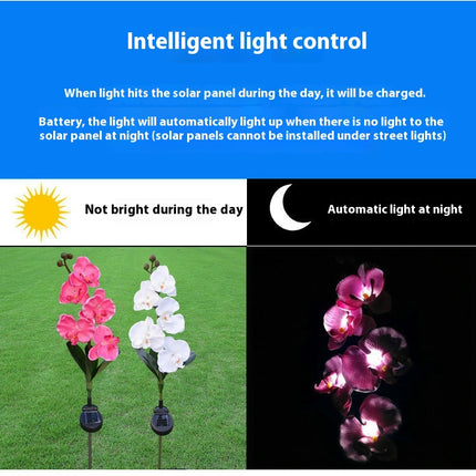 2 Pack Solar Garden Flowers Lights Waterproof Outdoor Lights for Garden Yard Patio Lawn Decor