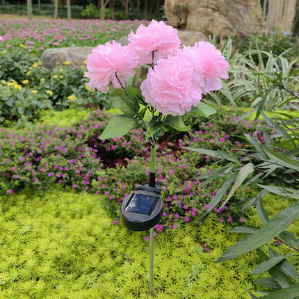 2 Pack Solar Garden Lights Carnation Flowers Waterproof Outdoor Lights for Outside Yard Garden
