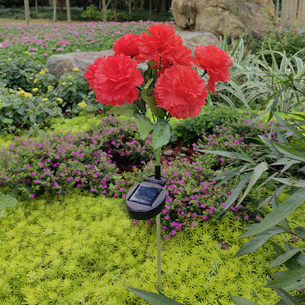 2 Pack Solar Garden Lights Carnation Flowers Waterproof Outdoor Lights for Outside Yard Garden