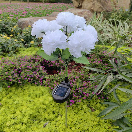2 Pack Solar Garden Lights Carnation Flowers Waterproof Outdoor Lights for Outside Yard Garden