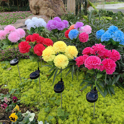 2 Pack Solar Garden Lights Carnation Flowers Waterproof Outdoor Lights for Outside Yard Garden