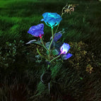 blue color light