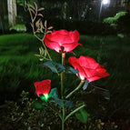 red colors