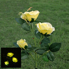 yellow white light