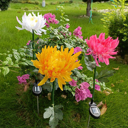 2 Pack Chrysanthemum Flower Waterproof Decorative Solar Lights for Pathway Walkway Lawn Yard