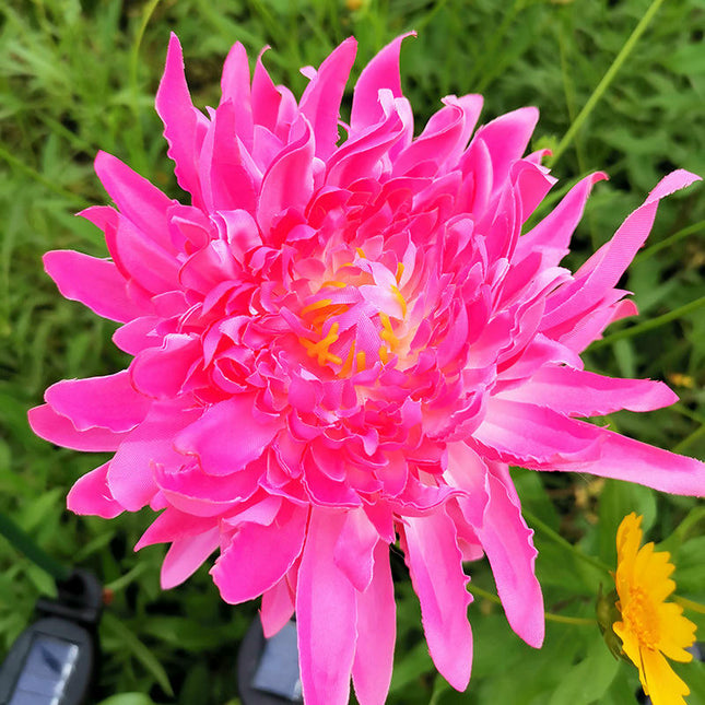2 Pack Chrysanthemum Flower Waterproof Decorative Solar Lights for Pathway Walkway Lawn Yard
