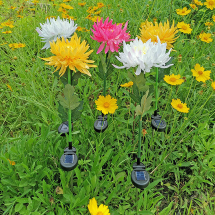 2 Pack Chrysanthemum Flower Waterproof Decorative Solar Lights for Pathway Walkway Lawn Yard