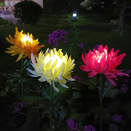 2 Pack Chrysanthemum Flower Waterproof Decorative Solar Lights for Pathway Walkway Lawn Yard