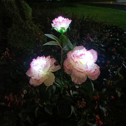 2 Pack Solar Garden Lights with 3 Blooming Flowers for Outside Yard Pathway Patio Lawn Decor