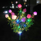 Pink Colorful light