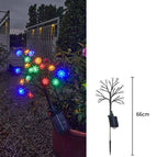Colorlight-8 mode
