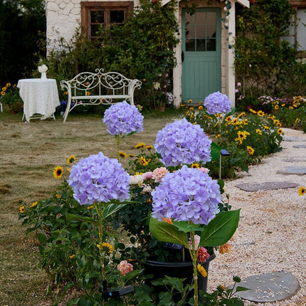 2 Pack Solar Garden Lights Outdoor Hydrangea Flower Solar Lights for Patio Lawn Yard Decor