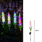 Solar Cyber Council Lantern (Pink model)