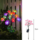 Color Light