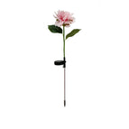 Single headed pink