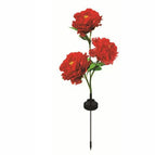 Three -headed red