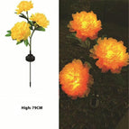Three -headed yellow