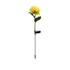 Single -headed yellow