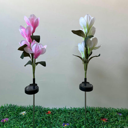 2 Pack Outdoor Waterproof Solar Flowers Garden Lights for Yard Patio Lawn Decor